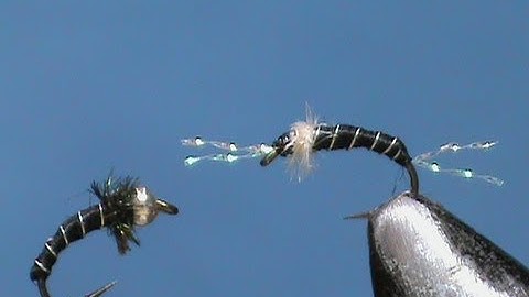 Fly Tying a Zebra Midge with Jim Misiura