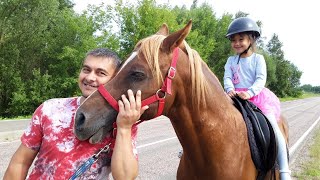 СБЫЛАСЬ МЕЧТА АРАБСКИЙ ЖЕРЕБЕЦ НИЗАМ СБЫЛАСЬ МЕЧТА АРАБСКИЙ ЖЕРЕБЕЦ НИЗАМ