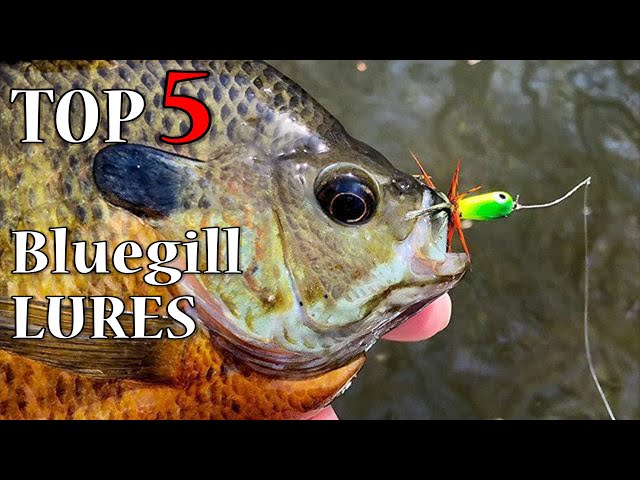 5 Best Bluegill Lures! These Plastics Will Catch Those Panfish