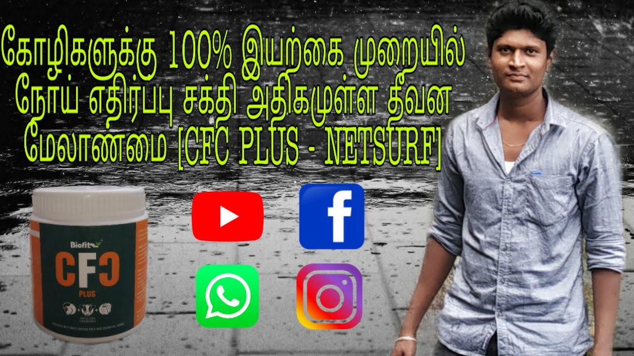 கோழிகளுக்கு 100% இயற்கை முறையில் நோய் எதிர்ப்பு சக்தி அதிகமுள்ள தீவன ...