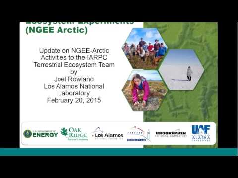 Next Generation Ecosystem Experiment (NGEE) Arctic -- Joel Rowland