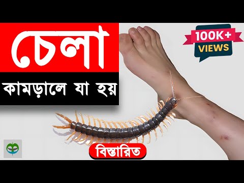 ভিডিও: লাল টিক (ছবি)। লাল টিক কামড়