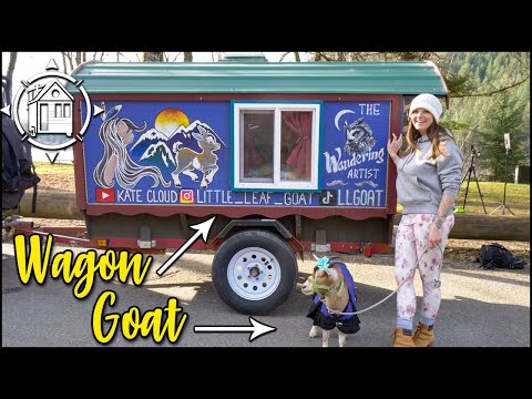 She lives in a tiny wagon with a GOAT?! (Yep, & it's cute) 🐐