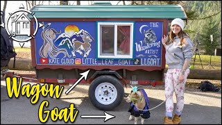 She lives in a tiny wagon with a GOAT?! (Yep, & it's cute)