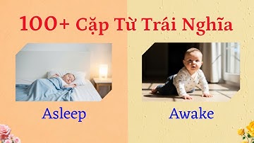 Từ Trái Nghĩa Tiếng Anh Thông Dụng | English Opposites for Kids