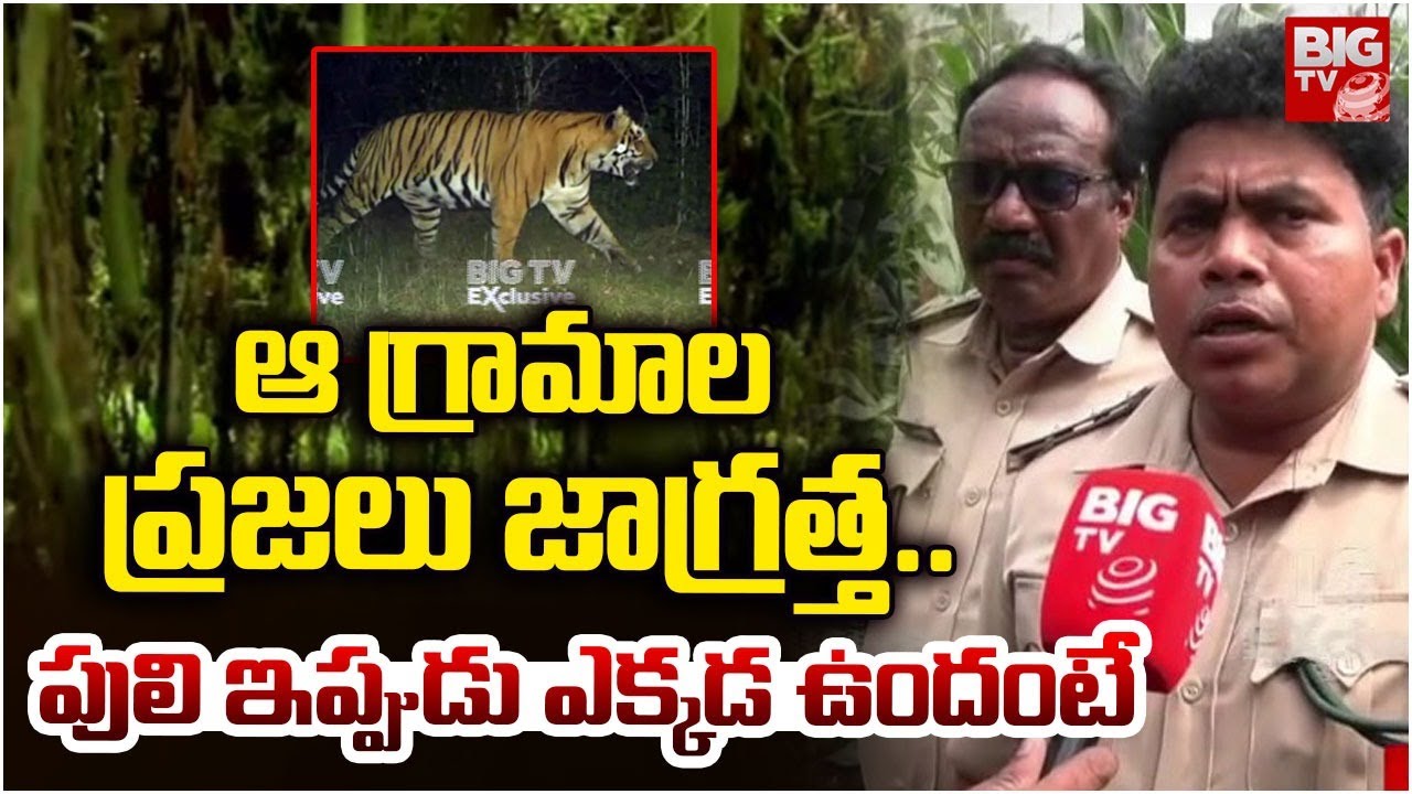 ఆ గ్రామాల ప్రజలు జాగ్రత్త .. | Forest Officer On Tiger In | Tiger Hulchul In Rajahmundry | BIG TV