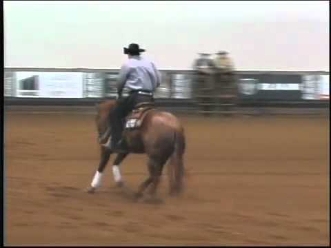 DUNIT N REMINIC NOVICE 