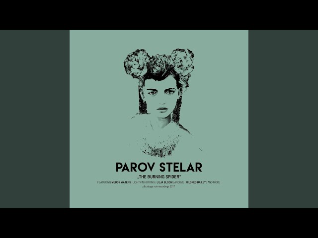 PAROV STELAR - My Man