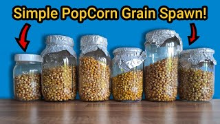 How to Make Popcorn Grain Spawn  No Nonsense Preparation.