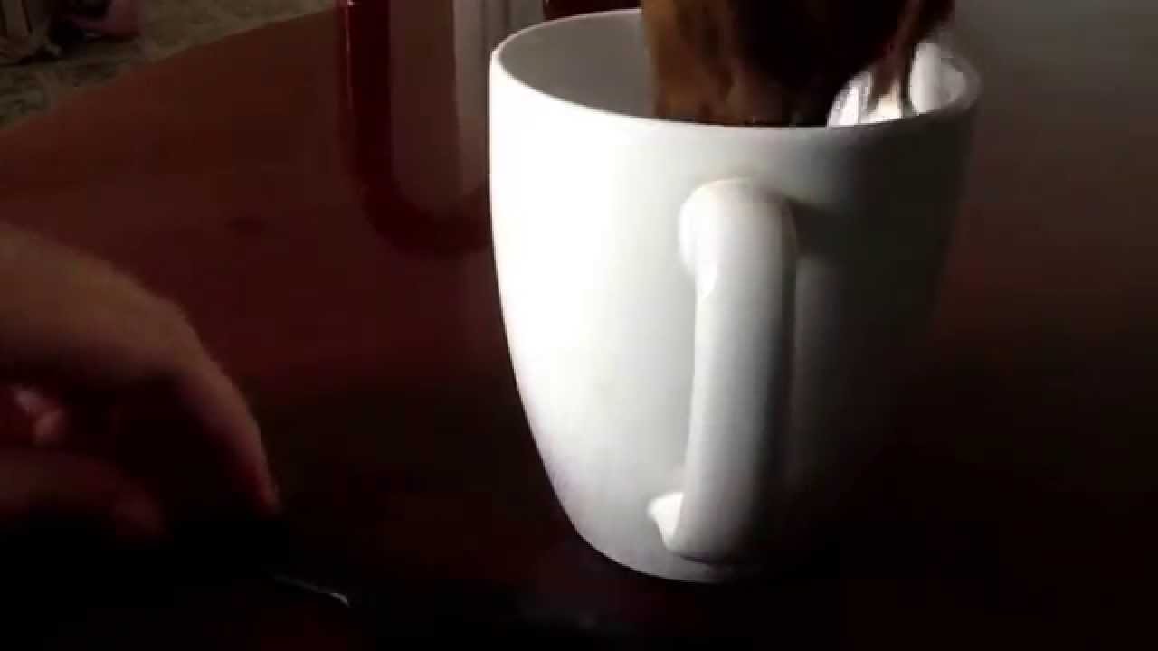 How To Boil Wash Your Doll's Hair |MintBerries