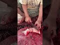 Amazing!! Technique For Cutting 2 Pangasius Fish Together #fishcutting #fish #fishing
