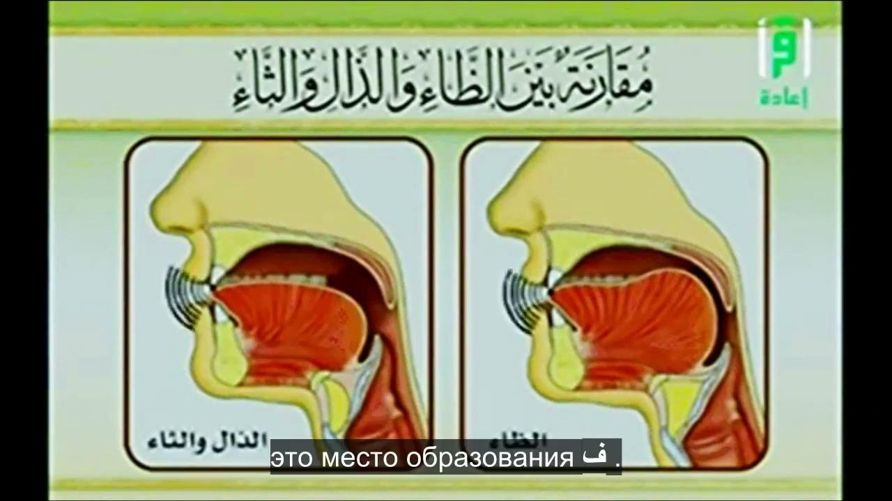 Айман сувейд буквы. Айман сувейд биография. Айман сувейд стр 42 коран. Айман сувейд произношение арабских букв. Шейх айман.
