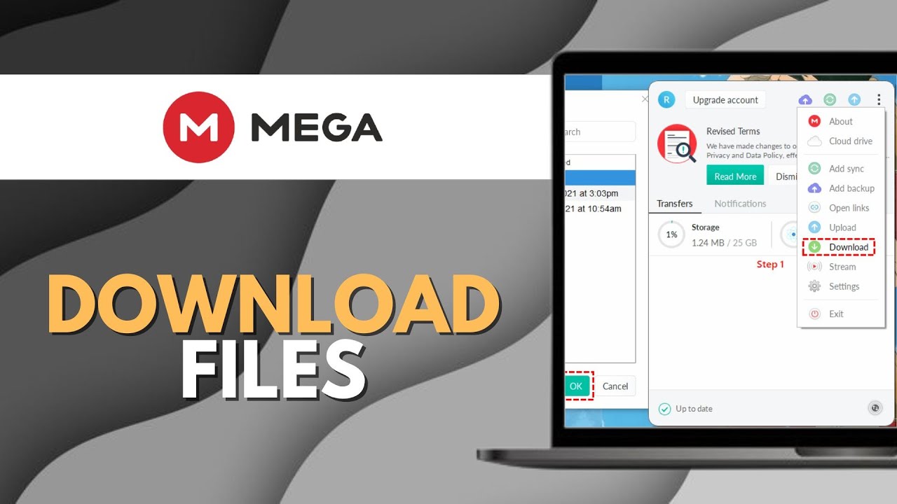 How To Download Files on Mega From PC (Full Guide) - YouTube