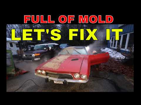 73 Challenger is a Biohazard, Time to Gut The Interior and Rebuild it.