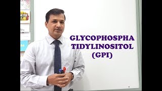 Glycophosphatidylinositol (GPI) - A Quick Review