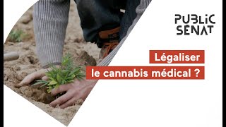 BA / Légaliser le Cannabis Médical ?/PUBLIC SENAT/