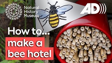 Hoe maak je een bijenhotel (audiobeschrijving)