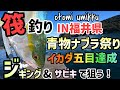 【福井県釣り】青物も釣れる筏釣り！福井県高浜町音海のウミックにてジギング、サビキでイカダ釣り！今回は沖筏でハマチやサゴシをメインに青物を狙います！ファミリーフィッシングのアジ釣りエギングにもオススメ！