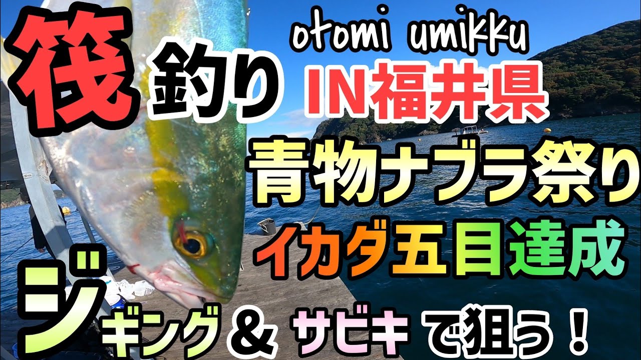 福井県釣り 青物も釣れる筏釣り 福井県高浜町音海のウミックにてジギング サビキでイカダ釣り 今回は沖筏 でハマチやサゴシをメインに青物を狙います ファミリーフィッシングのアジ釣りエギングにもオススメ Youtube