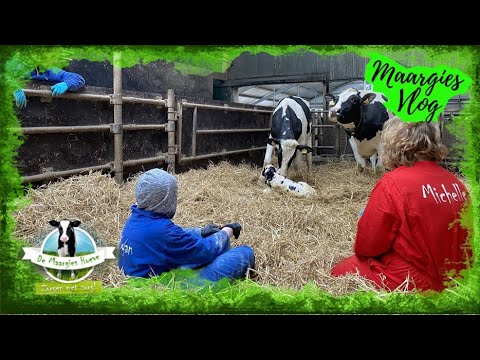 Vlog 56, 19 maart 2021