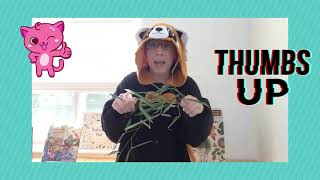Tails and Tales Animal Fun Facts