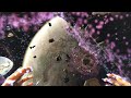 ARK ASE Aberration (Fin) #14
