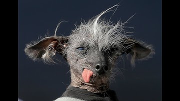 RUST//OneWIpeWithCowgang//Vital