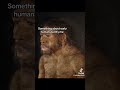 early human facts 1