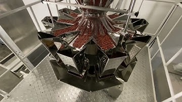 Plan IT Packaging Systems RotoBagger Premade Pouch machine with ELITEWEIGH 10 Multihead for Beans