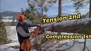 FIREWOOD CUTTING TIPS COMPRESSION 1ST. 372XP