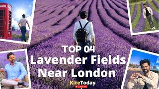 The Prettiest Lavender Fields Near London