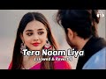 Tera Naam Liya [ Slowed & Reverb ] Ram Lakhan | Jackie Shroff | Tera Naam Liya Tujhe Yaad Kiya