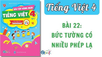 Bài 22 - Bức tường có nhiều phép lạ | Bài tập hằng ngày | Tiếng Việt lớp 4 | Kết Nối | Cô Uyển Uyển