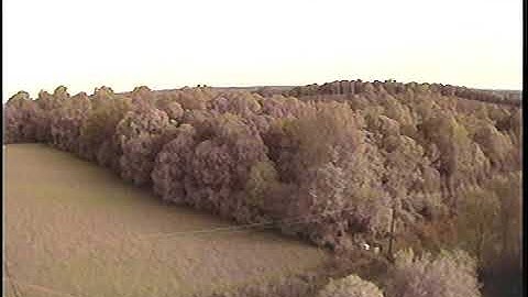 vlc record 2019 04 24 08h31m29s v4l2    dev video1