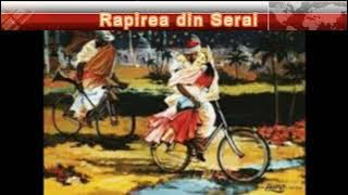Mihai Soaita - Rapirea din Serai cover live