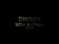 Bishop  wild horses lyrics