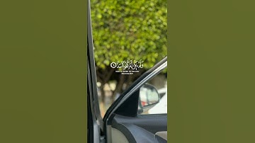قُلۡ هُوَ ٱللَّهُ أَحَدٌ | القارئ ماهر المعيقلي.