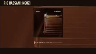 Ric Hassani - Ngozi