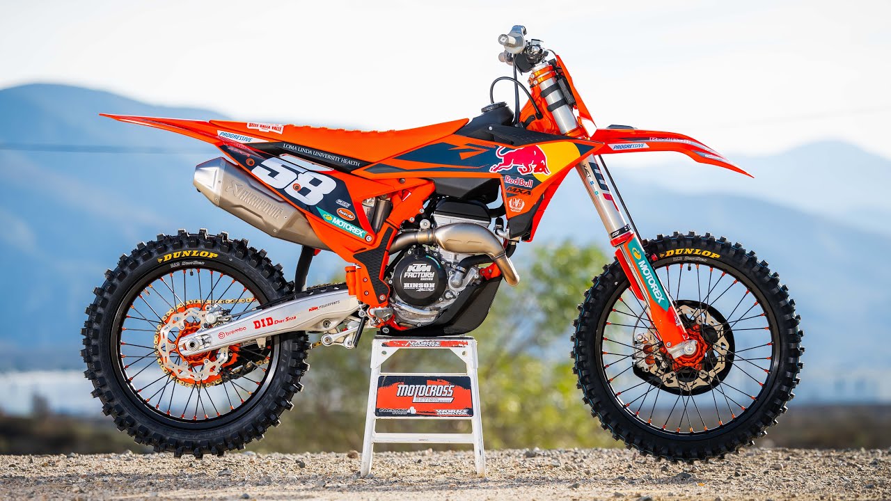 Pro vs. Novice Perspective: Is a Factory Edition worth the Extra Money?