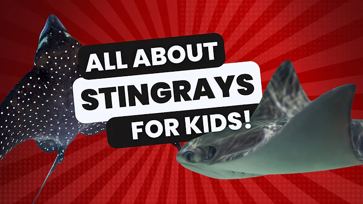 All About Stingrays - For kids in school (K-6) Educational Video