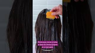 Éliminez Les Poux Efficacement Et Naturellement Avec Le Shampoing Masque Puressentiel