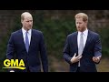 New documentary gives glimpse into Prince Harry and Prince William's fallout l GMA