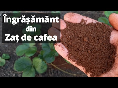 Video: Îngrășăminte Minerale - Beneficii Sau Daune (partea 1)