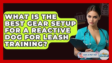 What Is The Best Gear Setup For A Reactive Dog For Leash Training? - Ask A Pet Vet