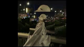 Sean Paul feat. Pitbull - She doesn’t mind (speed up)