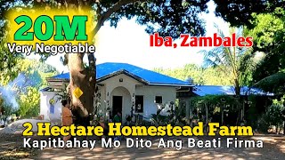 Farm For Sale Malapit Sa Farm Nila Bea Alonzo at Cesar Montano | DiritaBaloguen, Iba, Zambales