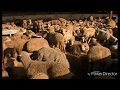 Anipop sheep pop commercial