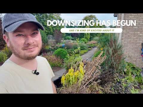 Downsizing the Garden Has Begun (And I’m Kind of Excited About It) | The Southerner's Garden