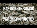 ЛОВЛЯ УКЛЕЙКИ и ПЛОТВЫ ЗИМОЙ на МОРМЫШКУ со ЛЬДА