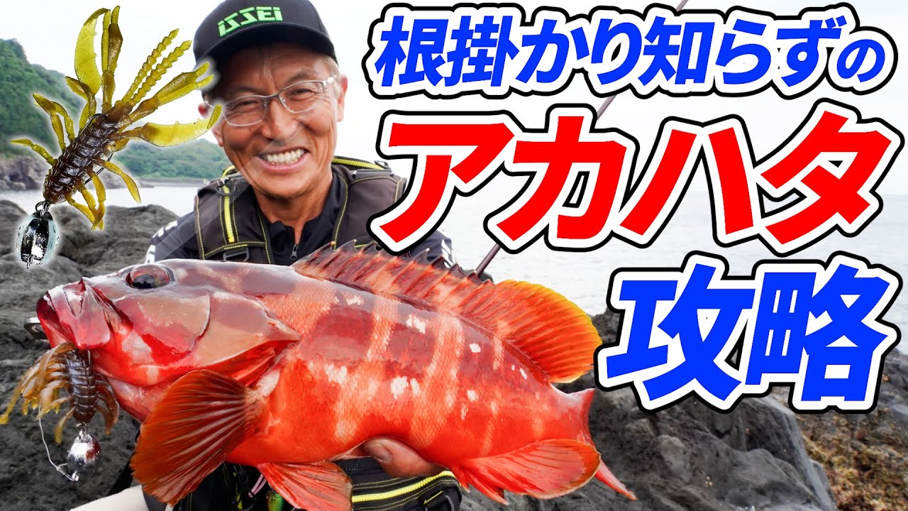 ロックショアボトムゲーム／地磯ボトムの荒根からアカハタを引っ張り出す！